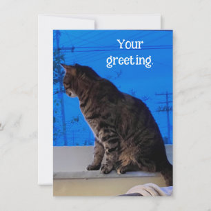 Hübsch Brown Tabby Cat Custom Grußkarten