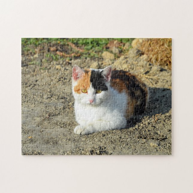 Hübsch Calico Cat Foto Puzzle (Horizontal)