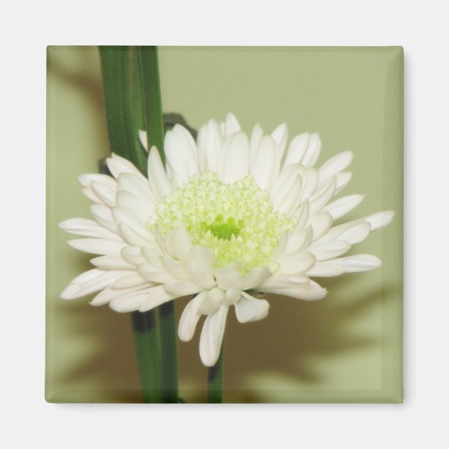 Hübsch Chrysanthemum Magnet (Vorne)