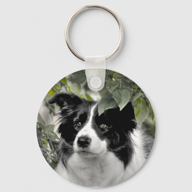 Hübsch Collie Dog Schlüsselanhänger (Vorderseite)