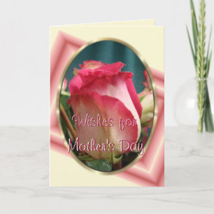 Hübsch Coral Bi-color-Rose2 - jedes Mal Karte