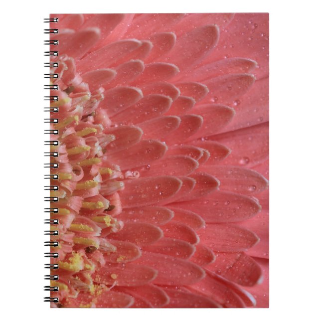 Hübsch Coral Pink Gerbera Daisy Notizblock (Vorderseite)
