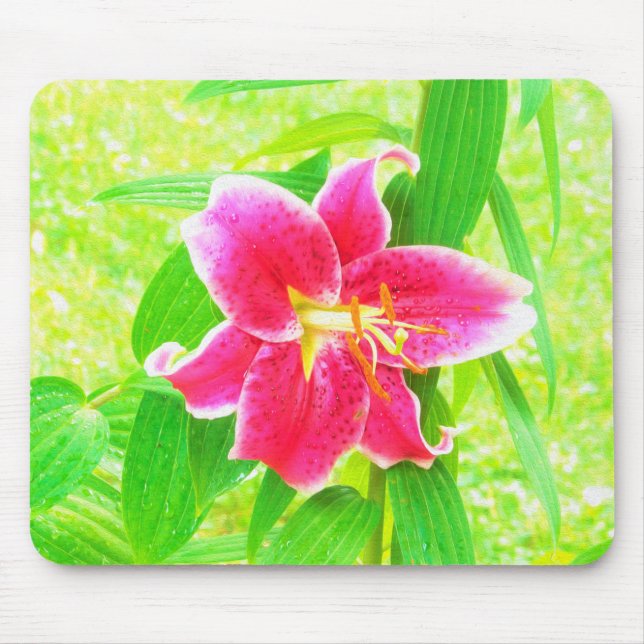 Hübsch Deep Pink Stargazer Liuon on Lime Green Mousepad (Vorne)