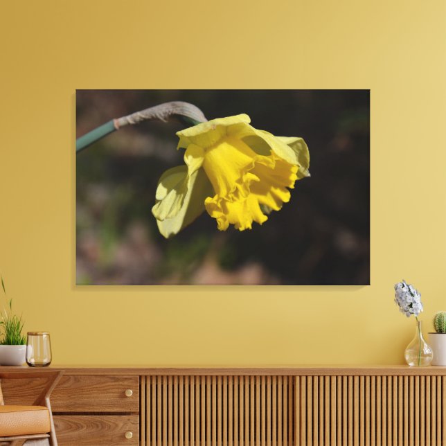 Hübsch Gelbe affodische Blume 36,00" x 24,00" Leinwanddruck (Insitu (Wohnzimmer))