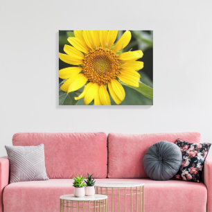 Hübsch Gelbe Sonnenblume 20" x 16" Leinwanddruck