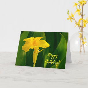 Hübsch-Gelbe Tropische Canna Lily Blume Geburtstag Karte