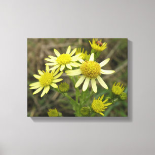 Hübsch-Gelbe Wildblumen Canvas drucken Leinwanddruck