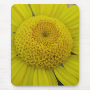 Hübsch-Gelbmarguerit Mousepad