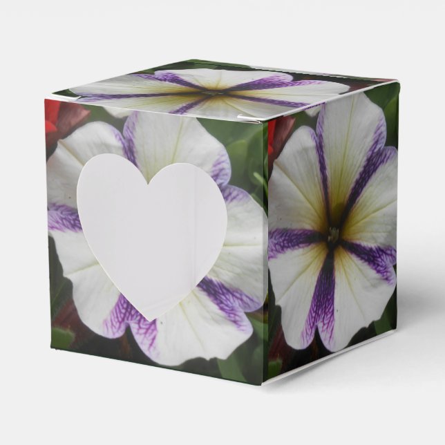 Hübsch Geschenkschachtel (Vorderseite)