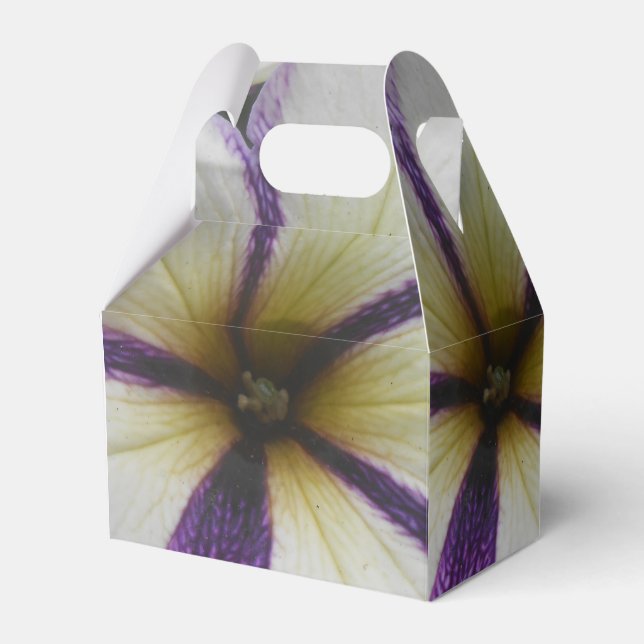 Hübsch Geschenkschachtel (Vorderseite)