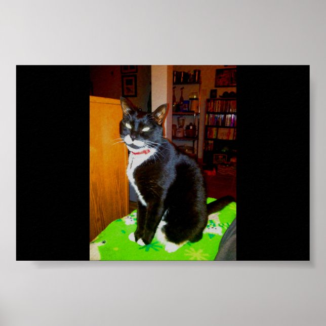 Hübsch Girl Lucy Poster (Vorne)