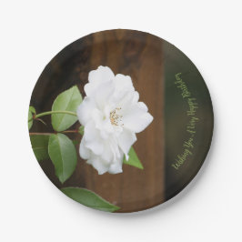 Hübsch-grün-weiß und braun-blütenrund pappteller