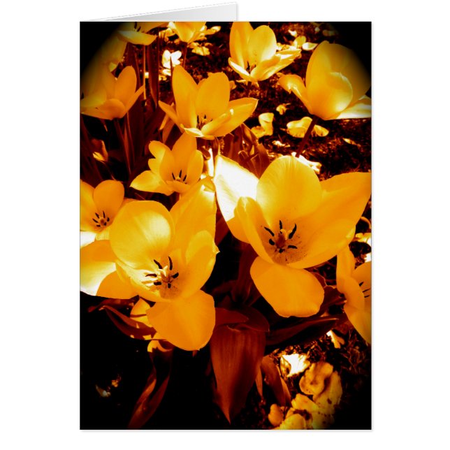 Hübsch im Gelb (Vorne)