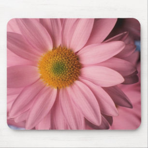 Hübsch im rosa Gänseblümchen Mousepad