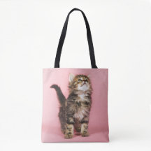 Hübsch im rosa Kätzchen