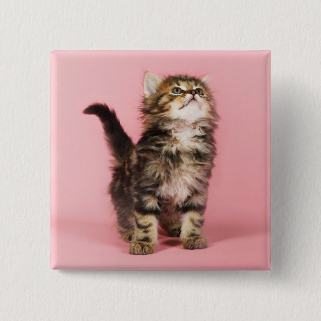 Hübsch im rosa Kätzchen Button (Vorderseite)