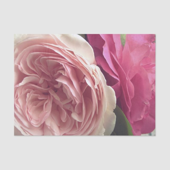 Hübsch im Rosa Seidenpapier (Vorderseite)