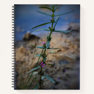 Hübsch in einem Lila Uni-Ruled-Notebook Notizbuch