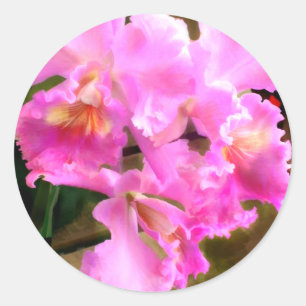 Hübsch in Pink Cattleya Orchids Runder Aufkleber
