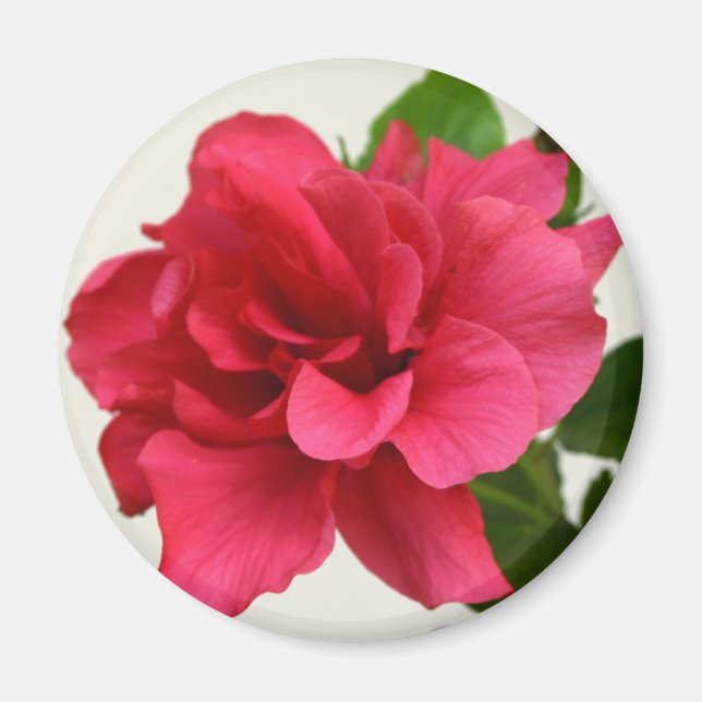 Hübsch in Pink - Magnet (Vorne)