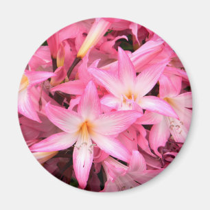 Hübsch in Pink... Magnet