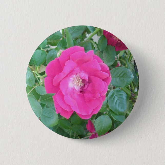 Hübsch in rosa Blume Button (Vorderseite)