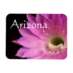 Hübsch in rosa Maria Piazza, Arizona Magnet