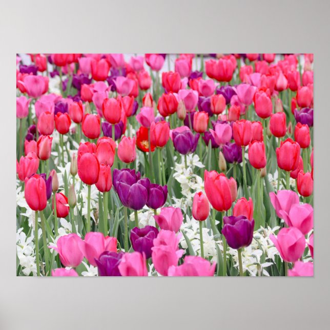 Hübsch in rosa Petalen Poster (Vorne)