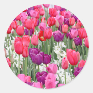 Hübsch in rosa Petalen Runder Aufkleber