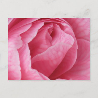 Hübsch in rosa postkarte