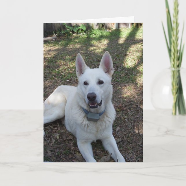 hübsch karte (Vorderseite)