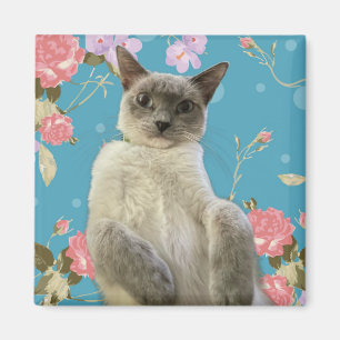 Hübsch Kitty Magnet