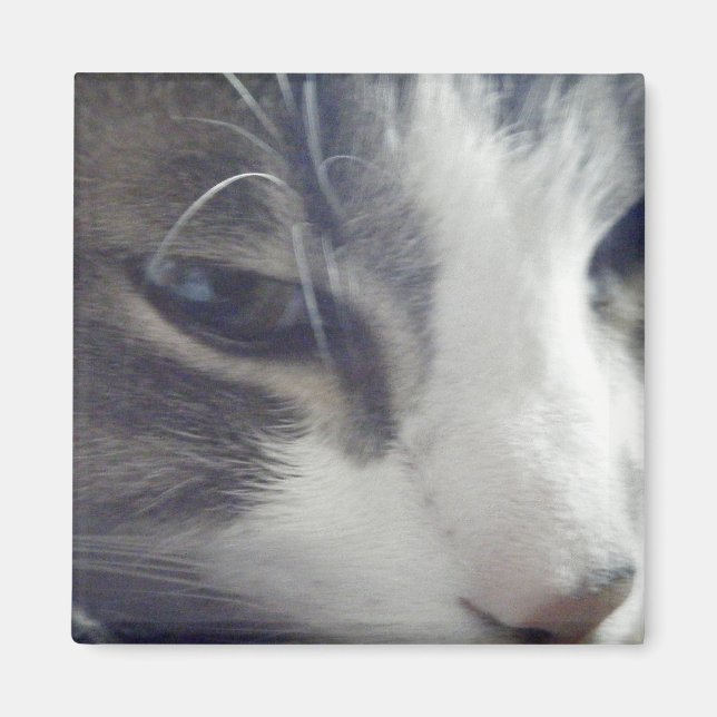 Hübsch Kitty Magnet (Vorne)