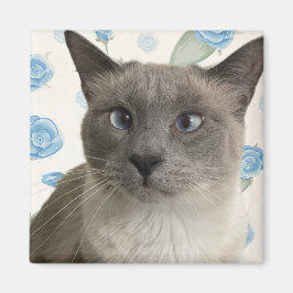 Hübsch Kitty Magnet