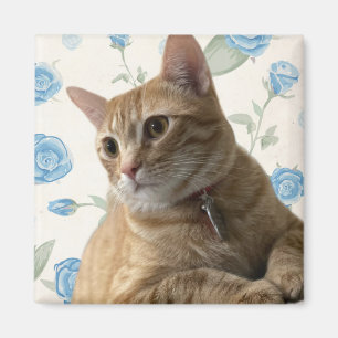 Hübsch Kitty Magnet