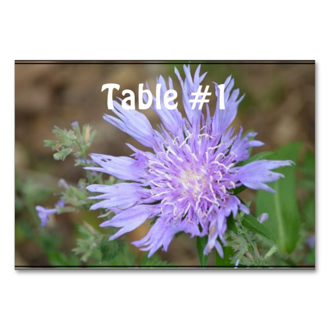 Hübsch Lavender Scabiosa Tischnummer (Vorderseite)