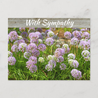 Hübsch Lila Allium Garden Blume Beileid Postkarte