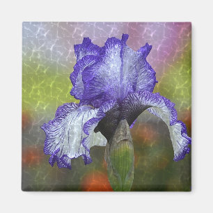 Hübsch Lila Iris Magnet