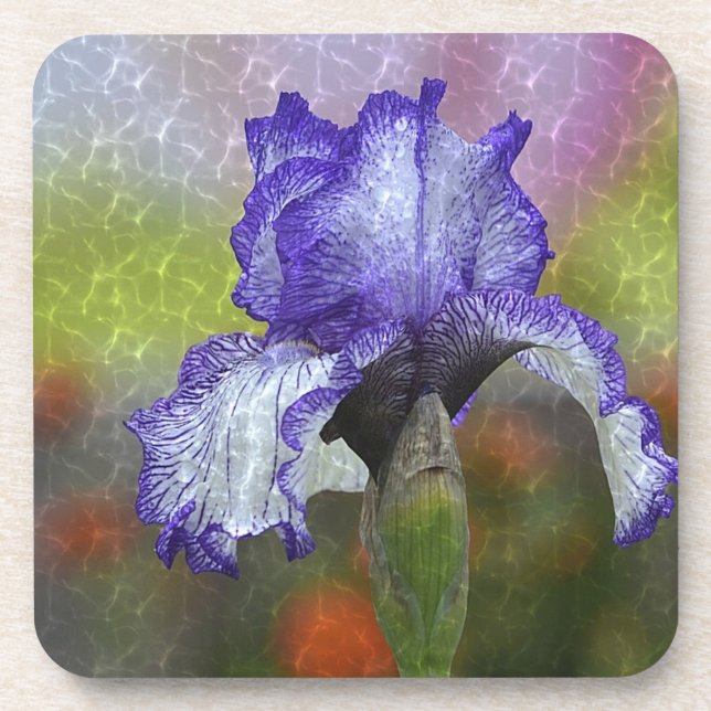 Hübsch Lila Iris Untersetzer (Vorderseite)