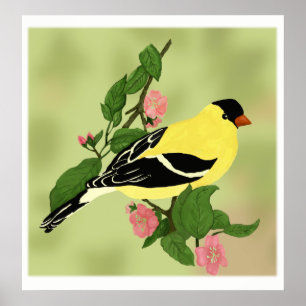 Hübsch Little Goldfinch Bird Poster