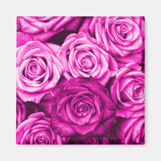 Hübsch Magenta Pink Roses Blume Bouquet Magnet