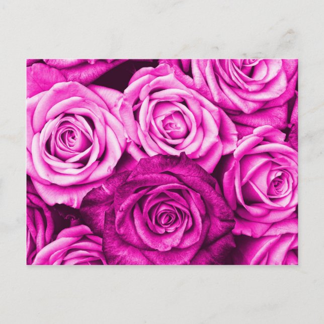 Hübsch Magenta Pink Roses Blume Bouquet Postkarte (Vorderseite)