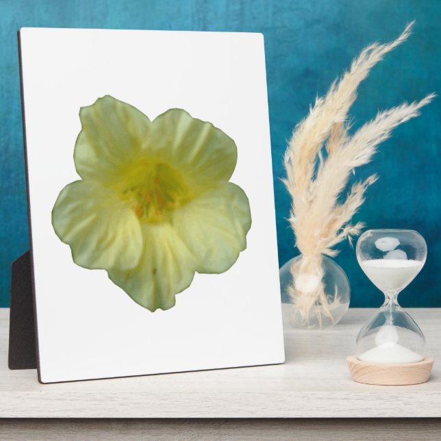 Hübsch Nasturtium Plaque Fotoplatte (Seite)