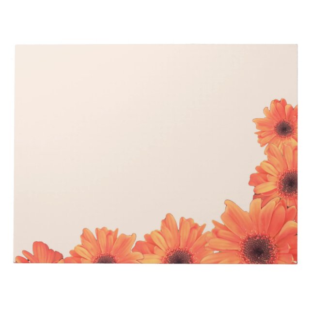 Hübsch Orange Daisies Notepad Notizblock (Vorderseite)