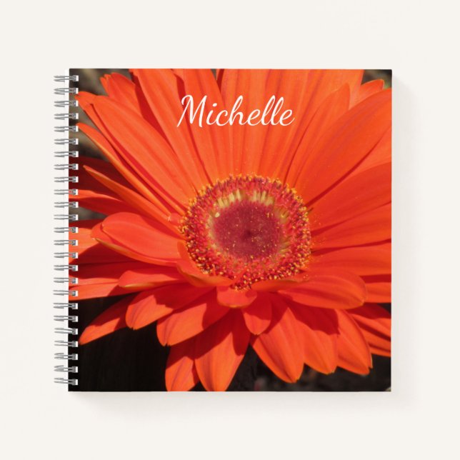 Hübsch Orange Daisy Blume Foto Name Notizbuch (Vorderseite)