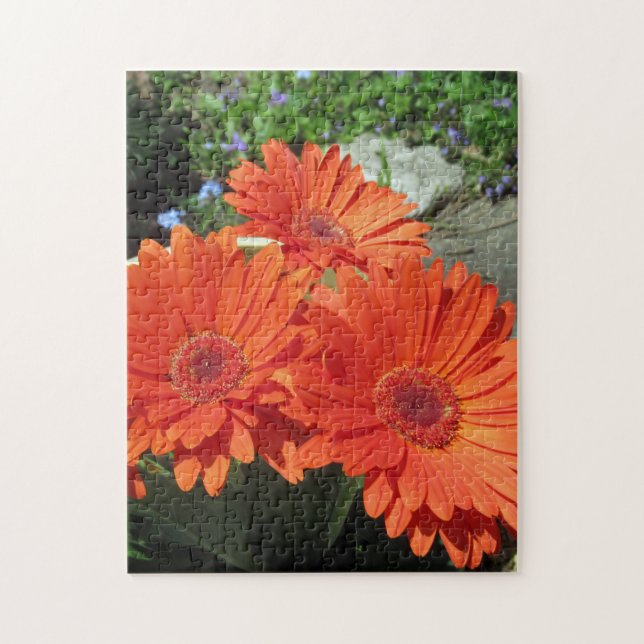 Hübsch Orange Daisy Blume Foto Puzzle (Vertikal)