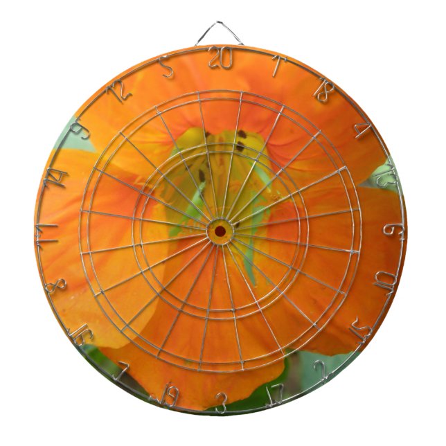 Hübsch Orange Nasturtium Blume Dart Board Dartscheibe (vorne)