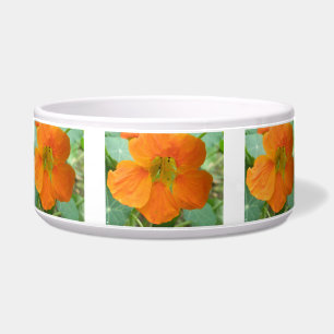 Hübsch Orange Nasturtium Blume Hunde Schüssel