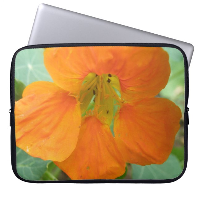 Hübsch Orange Nasturtium Blume Notebook-Tasche Laptopschutzhülle (Vorderseite)