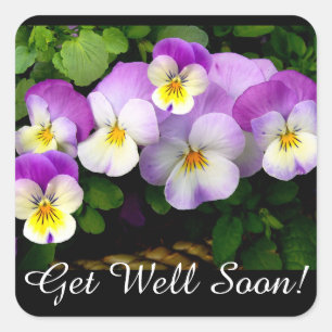Hübsch Pansy Get well Quadratischer Aufkleber